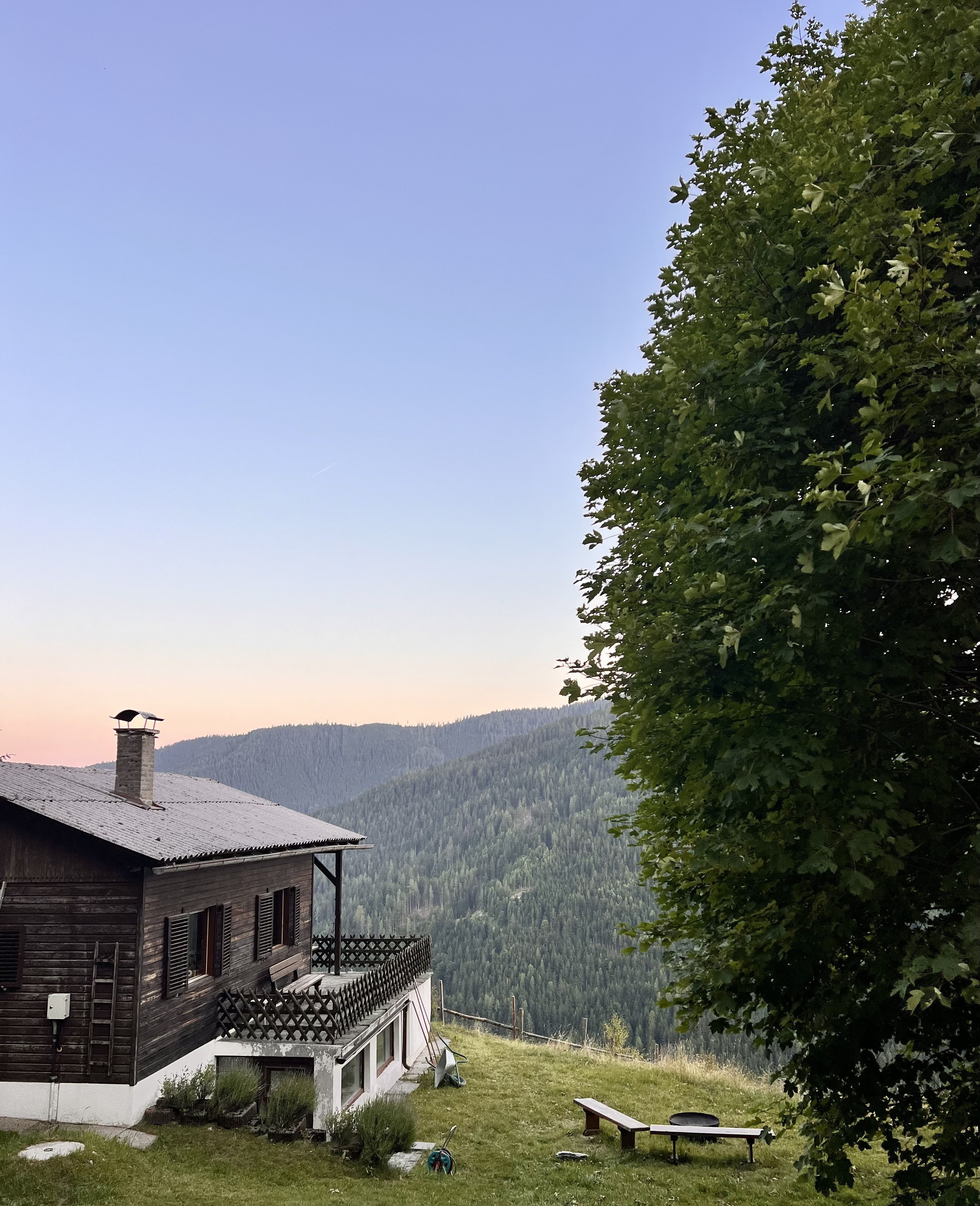 Die alm44 zwischen Bergwiesen und Wald