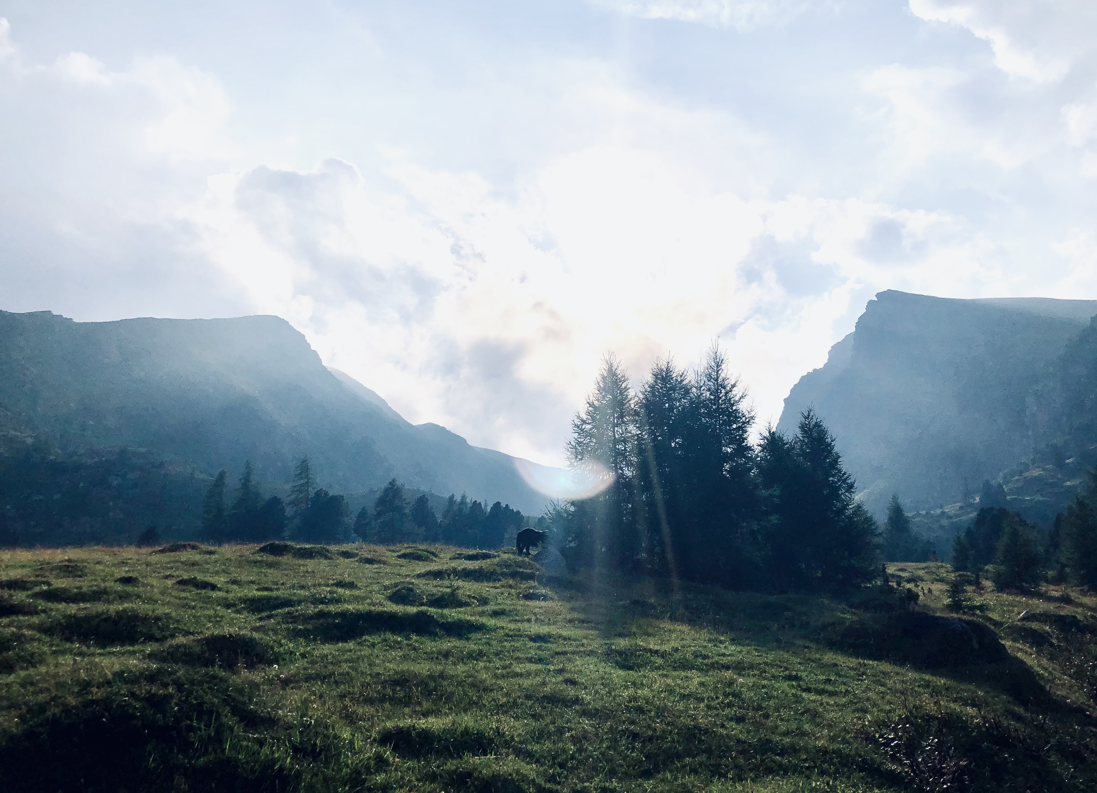 Wiesen, Wälder und nebelverhangene Berge in Kärnten